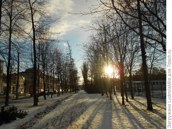 Выглянуло солнышко.