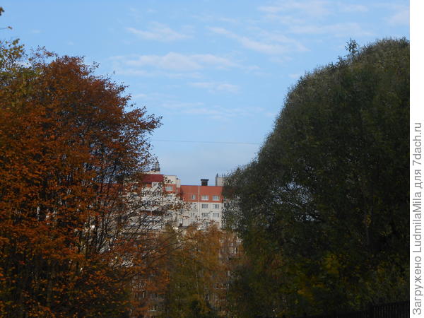 бббббб