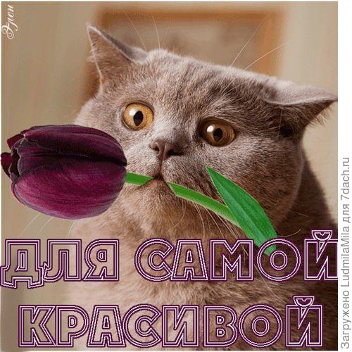 Добавлю от себя-энергичной,преданной,артистичной,работящей ..........