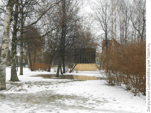 Вот такие пейзажи....