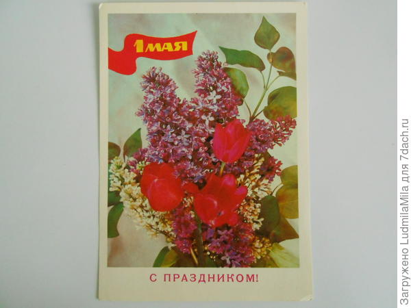 ббб