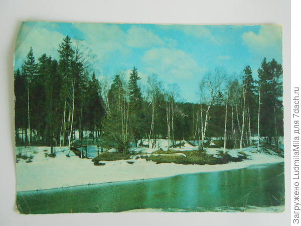 Родная природа