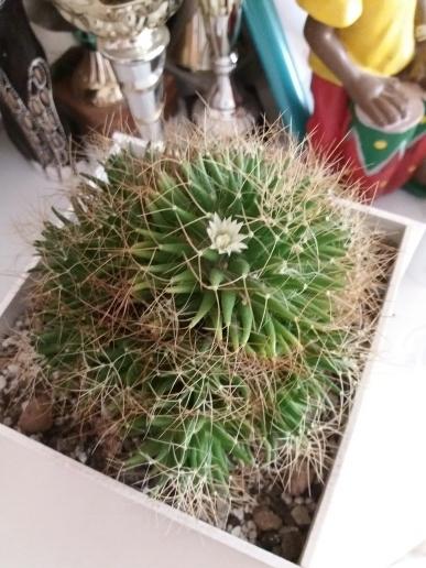 Маленький,да удаленький.