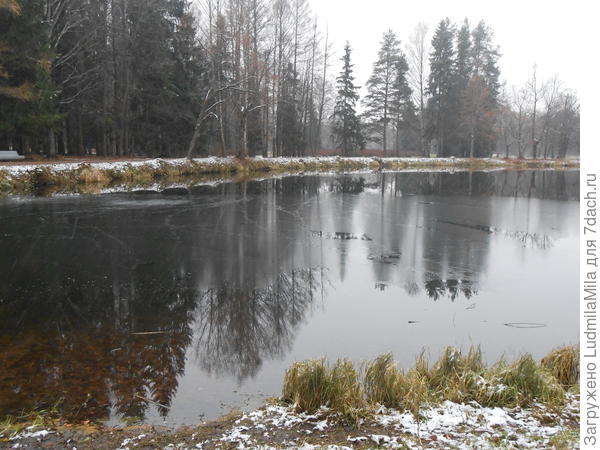 Павловский парк.Ноябрь.