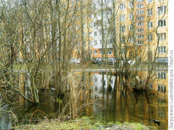 Питер.Отражение в весенней луже))).