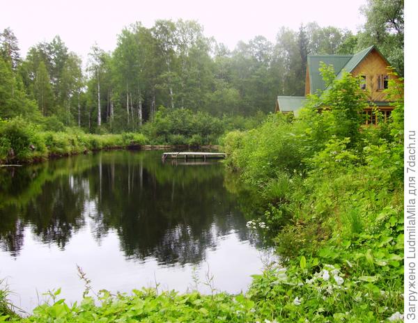 Новгородская область.