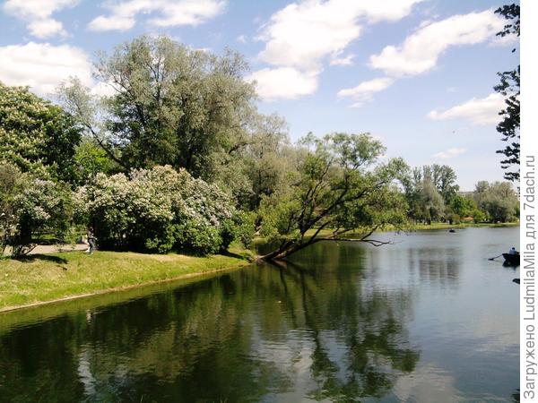Парк в Спб.