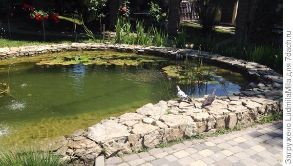 Новороссийск.