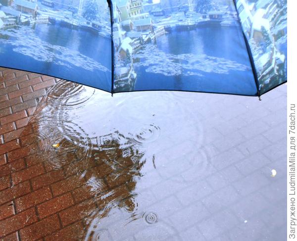 Чудесная летняя погода Питера.