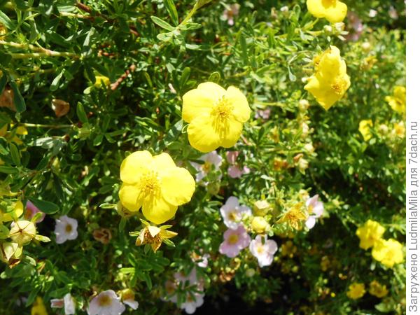 Вот как-то так))))