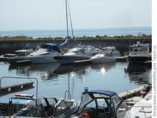 Красавицы яхты