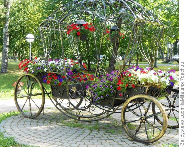 Карета победителям))))