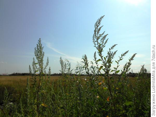 Всем хорошего дня!