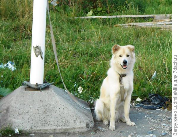 Доброе утро!