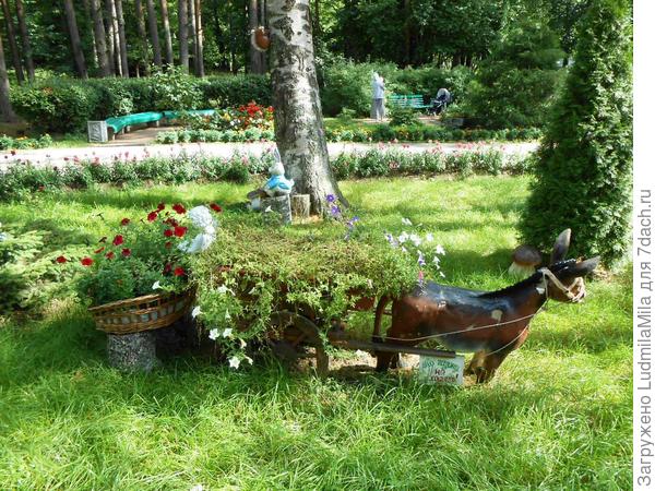 Олени