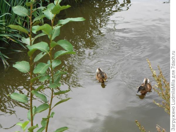 Дождик закончился