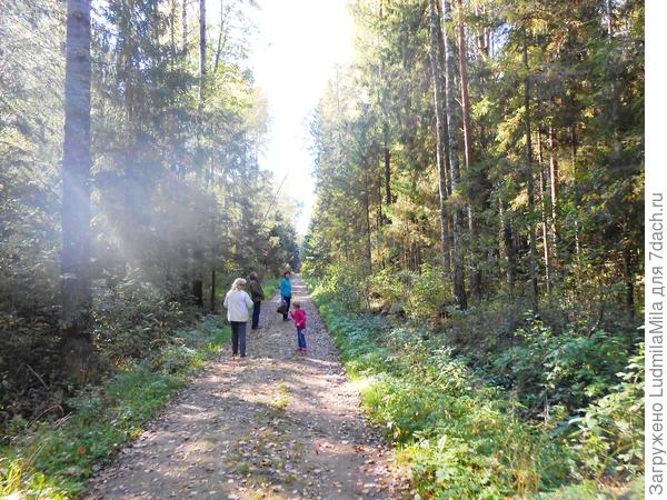 Пока по тропинке в лес густой