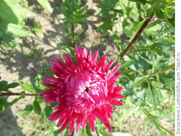 Ярких красок!