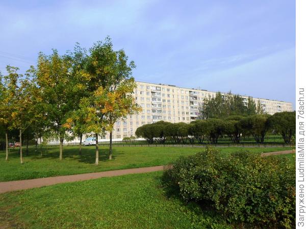 Небольшие мазки осени