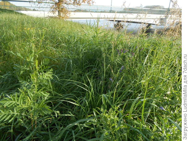 И не скажешь что  9 октября