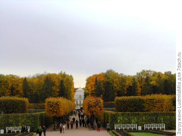 Аллея