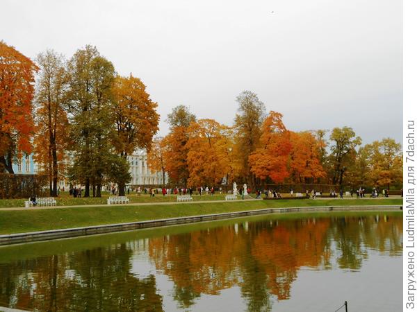 Красота