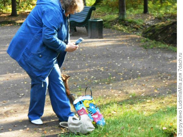 Выпросила!!!!