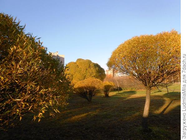 9 часов утра.Возле работы.