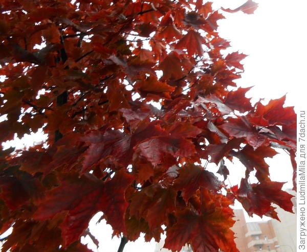 Октябрь.Солнечно