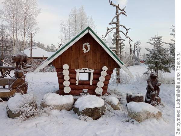 ...даже засохшие деревья