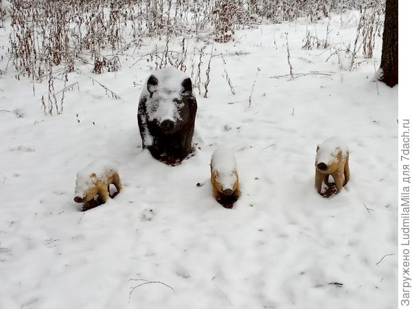Символы года