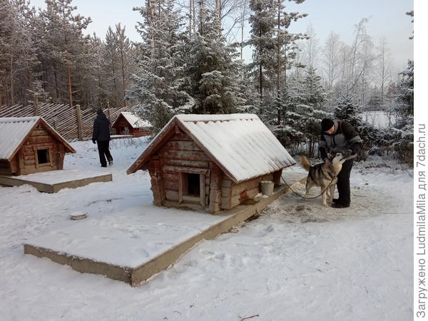 Любители поиграть