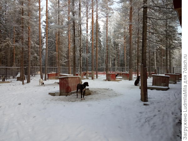 У каждой свой дом