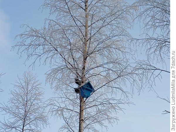 Скворечник