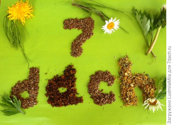 Наш сайт для всех...Каждый найдет себе раздел по интересам