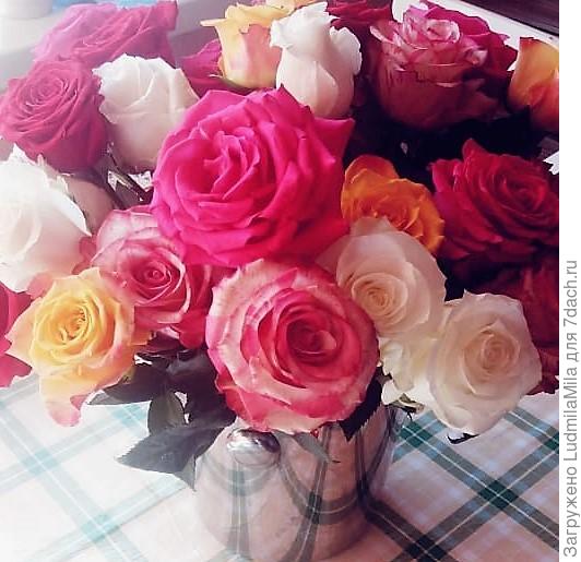 Яркой жизни,хорошего настроения,оптимизма!