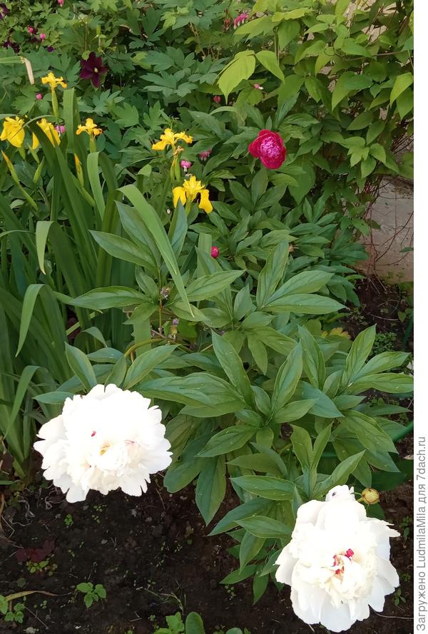 Композиция