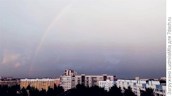 Вид с 11 этажа в Спб.