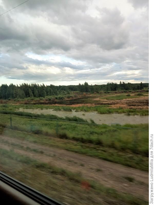 Много воды...Пасмурно..
