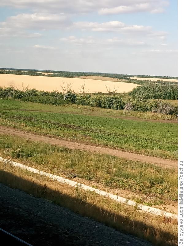 Воронежская область