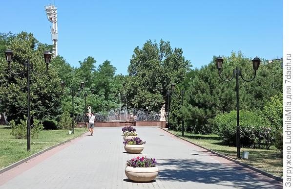 Аллея из хвойников