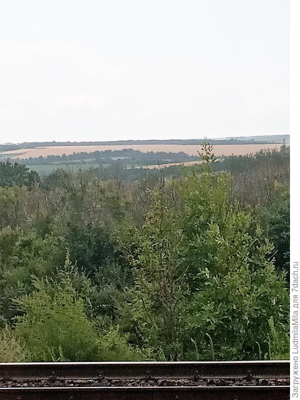 Разнотравье