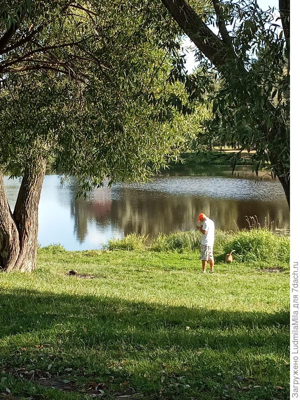 В парке в центре СПб
