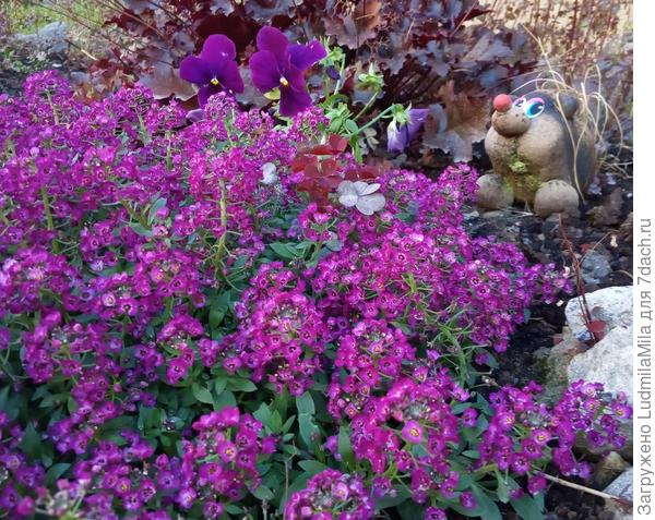 Поздравляю!