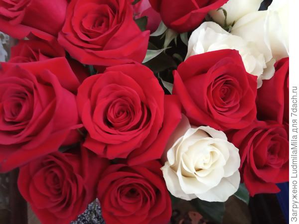 С самыми искренними пожеланиями!!!!