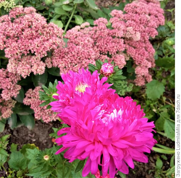 Осенняя композиция