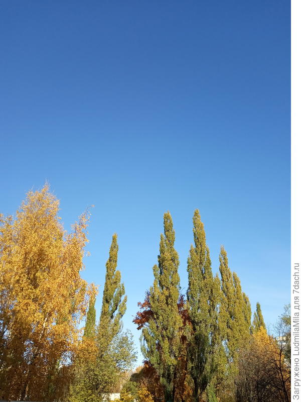 Осенний полдень