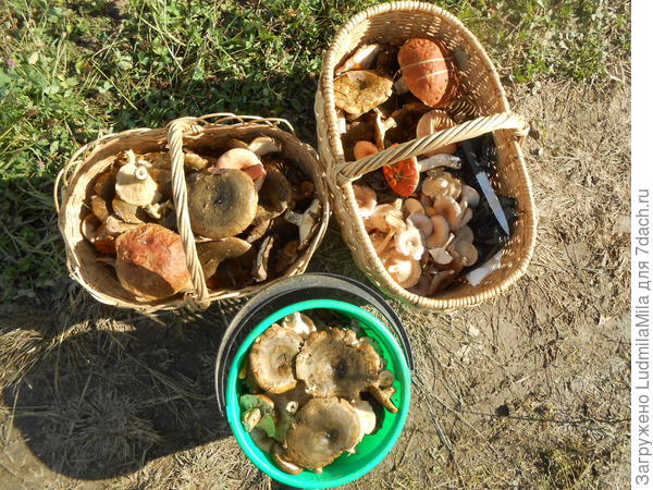 Кто что собрал сразу видно))))..мои черные)))