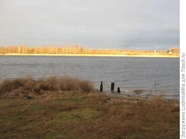 г.Зеленогорск октябрь