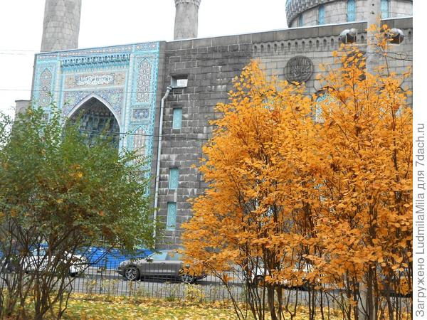 Санкт-Петербург сентябрь